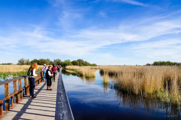 Tablolar de Daimiel Ulusal Parkı, Ciudad Real, Kastilya-La Mancha, İspanya, Avrupa