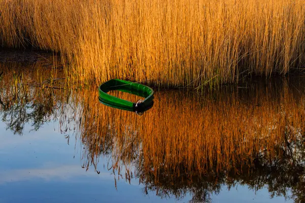 stock image Tablas de Daimiel National Park, Ciudad Real, Castile-La Mancha, Spain, Europe