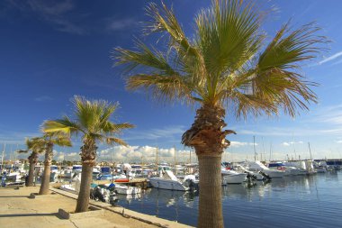 Eğlence tekneleri, Estanyol marinası, Llucmajor, Mallorca, Balear Adaları, İspanya