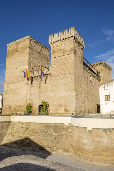 stock image Aguas Mansas castle, built during the 13th and 14th centuries, Agoncillo, La Rioja, Spain, Europe