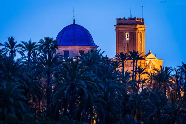 stock image Basilica of Santa Maria, 1672, Palm Grove of Elche, UNESCO World Heritage Site, Province of Alicante, Valencian Community, Spain