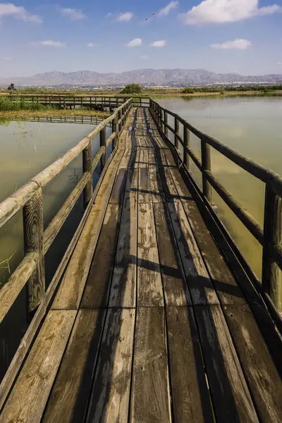 stock image Wooden walkways for visitors, El Fondo Natural Park, Elche, Alicante, Spain, Europe