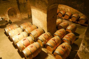 wine boots, Son Sureda Ric winery. Manacor. Mallorca. Balearic Islands. Spain.