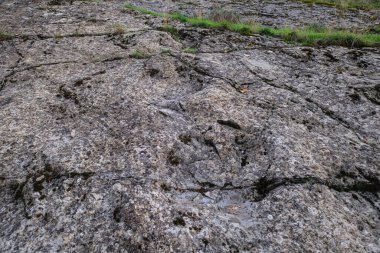 Dinozor ayak izleri, Navalsaz, La Rioja, İspanya, Avrupa