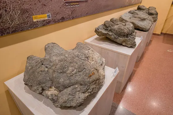 stock image Iguanodon footprints, Paleontological Interpretation Centre of La Rioja, Igea, La Rioja, Spain, Europe