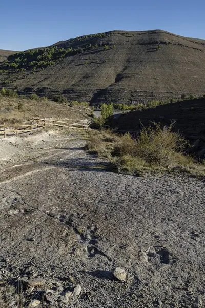 stock image Dinosaur tracks, Valdecevillo site, Enciso, La Rioja , Spain, Europe