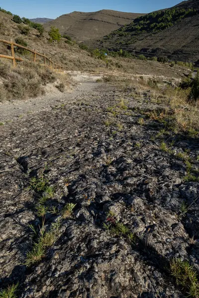 stock image Dinosaur tracks, Valdecevillo site, Enciso, La Rioja , Spain, Europe