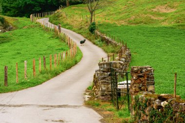 Taştan çitler arasındaki tipik patika, Urdax. Navarra. İspanya.