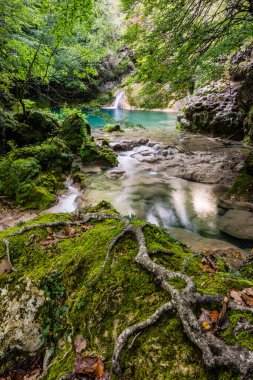 Urederra nehrinin kaynağı, Urbasa-Andia doğal parkı, Navarra, İspanya