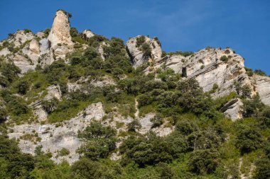 Akdeniz ve Atlantik bitki örtüsü karışımı, Iranzu Nehri Kanyonu, Navarra, İspanya, Avrupa