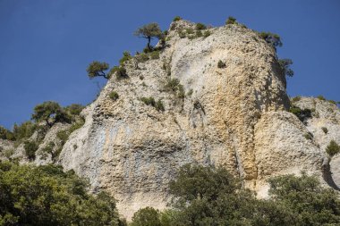 Akdeniz ve Atlantik bitki örtüsü karışımı, Iranzu Nehri Kanyonu, Navarra, İspanya, Avrupa