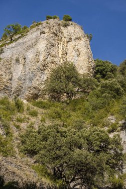 Akdeniz ve Atlantik bitki örtüsü karışımı, Iranzu Nehri Kanyonu, Navarra, İspanya, Avrupa