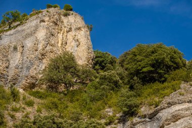 Akdeniz ve Atlantik bitki örtüsü karışımı, Iranzu Nehri Kanyonu, Navarra, İspanya, Avrupa
