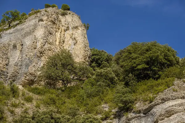 stock image Mixture of Mediterranean and Atlantic vegetation, Iranzu River Canyon, Navarra, Spain, Europe