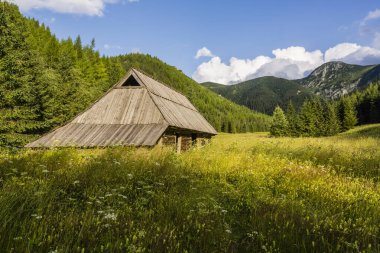 Jaworzynka Vadisi Kulübesi, Tatra Milli Parkı, Zakopane, Karpatya dağ sırası, Polonya, Avrupa