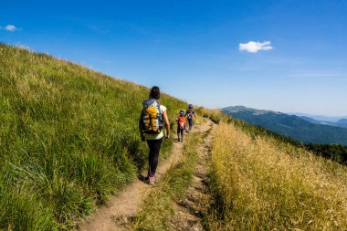 Carynska Polonina sırtı, Bieszczady Milli Parkı, UNESCO Rezervi - Doğu Karpatya Biyosfer Rezervi, Karpatya Dağları, Polonya, Doğu Avrupa