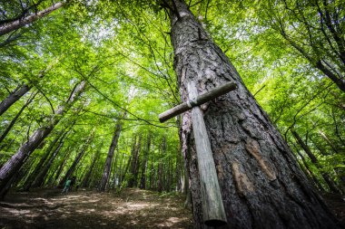 votive cross in the forest, climb to the wooden church, Ulucz,   river valley Saint,  Lesser Poland Voivodeship, Carpathians,  Poland, europe clipart