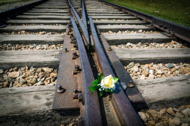 Demiryolu raylarında çiçekler, Auschwitz-Birkenau toplama kampı, devlet müzesi, Oswiecim, Polonya, Doğu Avrupa