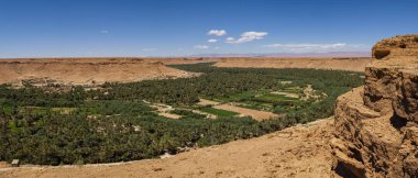 great panoramic view of the palm grove of Tafilalet, valley of the river Ziz, Morocco, Africa