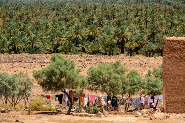 Tamegroute Çarı, Draa Vadisi, Fas, Afrika