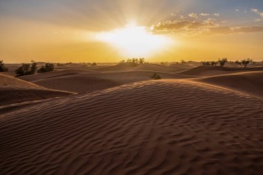 large dunes in M'Hamid, Zagora region, Morocco, Africa