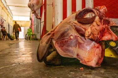 Derisi yüzülmüş kuzu kafatası, Rich, Fas, Afrika