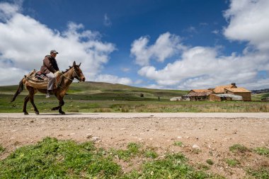 Eşeğe binen adam, Agelman Ou Haoul, Ifran Ulusal Parkı, Orta Atlas, Fas, Afrika