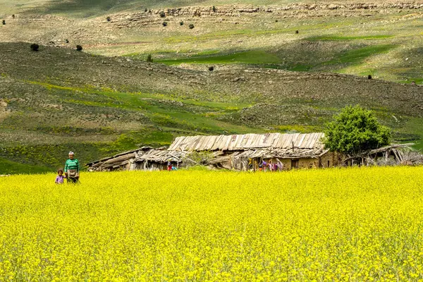 stock image Agelman Ou Haoul, Ifran national park, Middle Atlas, Morocco, Africa