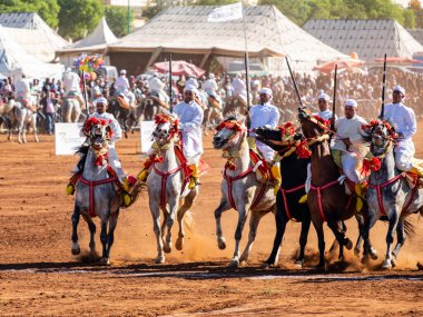 Dört nala koşan atlar, geleneksel festival, Fantasia, Tbourida, Fez, Fas, Afrika