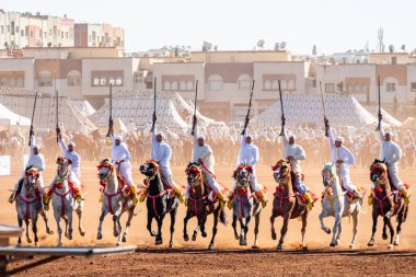Dört nala koşan atlar, geleneksel festival, Fantasia, Tbourida, Fez, Fas, Afrika