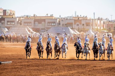 Dört nala koşan atlar, geleneksel festival, Fantasia, Tbourida, Fez, Fas, Afrika