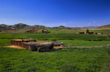 Field of cultivation. Near Khneifra. Atlas Mountains. Morocco. clipart