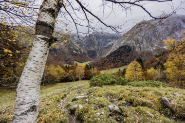 Artiga de Lin, Aran Vadisi, Lleida, Catalunya, Cordillera de los Pirineos, İspanya, Avrupa