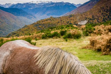 Bausen, Aran Vadisi, Pirene Dağları, Katalonya, İspanya, Avrupa