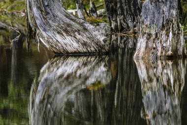 Bassa d 'Oles Gölü, Aran Vadisi, Bassa d' Oles Gölü, Aran Vadisi, Katalonya, Pirene Dağı, İspanya, Avrupa,