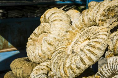 Çarşıda satılık aletler, Şef Chauen, Fas, Afrika 'nın kuzeyi, Afrika kıtası.