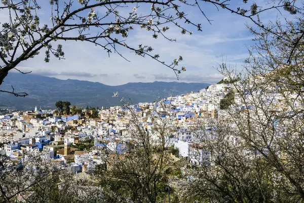 Chefchauen, Chauen, Marruecos, Kuzey Afrika, Afrika kıtası.