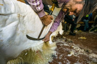 Deriden, tenetiden, Medina de Tetuan 'dan, dünya mirasından, Fas' tan, Afrika 'nın kuzeyinden, Afrika kıtasından,