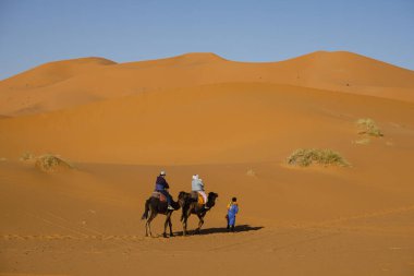 Erg Chebbi, Merzouga, Taffilalet, Fas, Afrika 'da turist deve kervanı