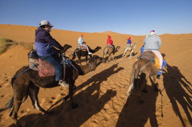 Erg Chebbi, Merzouga, Taffilalet, Fas, Afrika 'da turist deve kervanı