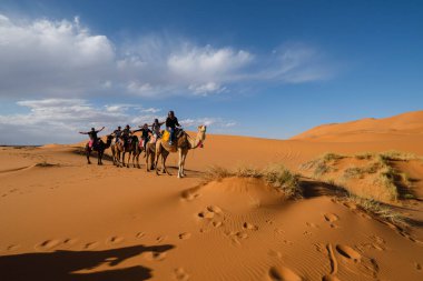 Erg Chebbi, Merzouga, Taffilalet, Fas, Afrika 'da turist deve kervanı