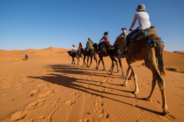 Erg Chebbi, Merzouga, Taffilalet, Fas, Afrika 'da turist deve kervanı