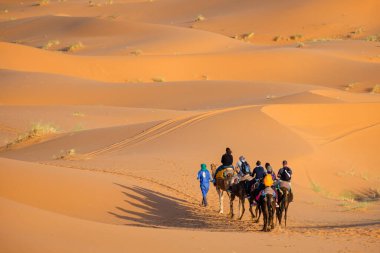 tourist camel caravan on Erg Chebbi, Merzouga, Taffilalet, Morocco, Africa clipart