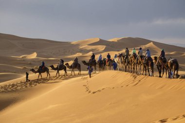 tourist camel caravan on Erg Chebbi, Merzouga, Taffilalet, Morocco, Africa clipart