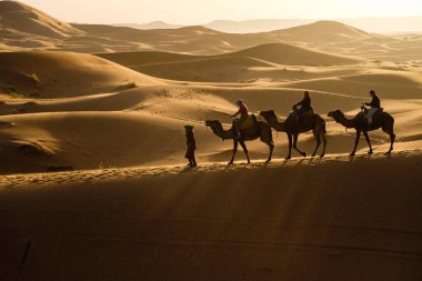 Erg Chebbi, Merzouga, Taffilalet, Fas, Afrika 'da turist deve kervanı
