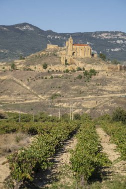 San Vicente de la Sonsierra 'daki üzüm bağı, La Rioja, İspanya