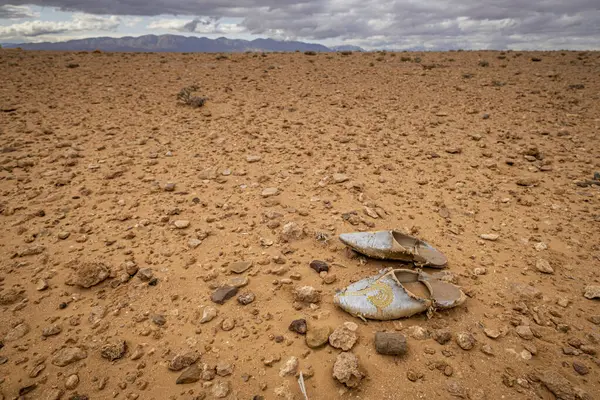Maghreb alpargata çölde kayboldu, Muluya vadisi. Orta Atlas. Fas, Afrika