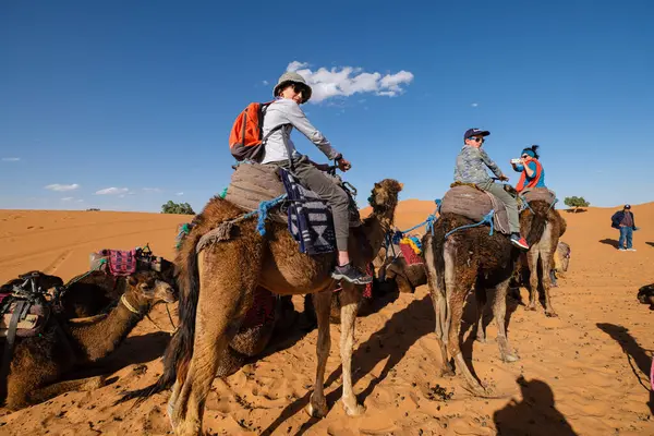 stock image tourist camel caravan on Erg Chebbi, Merzouga, Taffilalet, Morocco, Africa