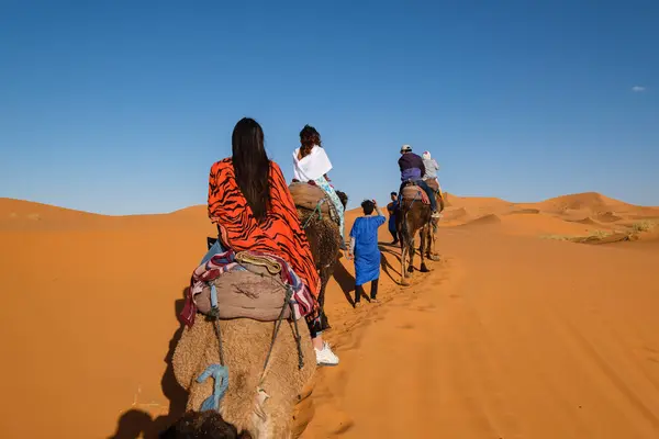 stock image tourist camel caravan on Erg Chebbi, Merzouga, Taffilalet, Morocco, Africa