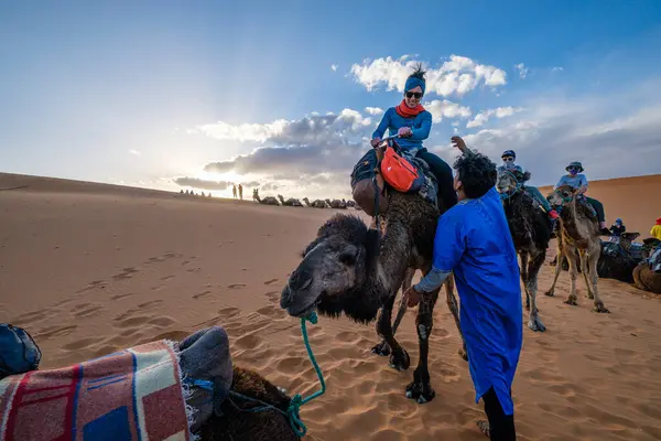 stock image tourist camel caravan on Erg Chebbi, Merzouga, Taffilalet, Morocco, Africa